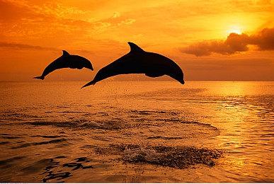 NVIDIA赢麻了：任天堂Switch 2确认支持光追、DLSS